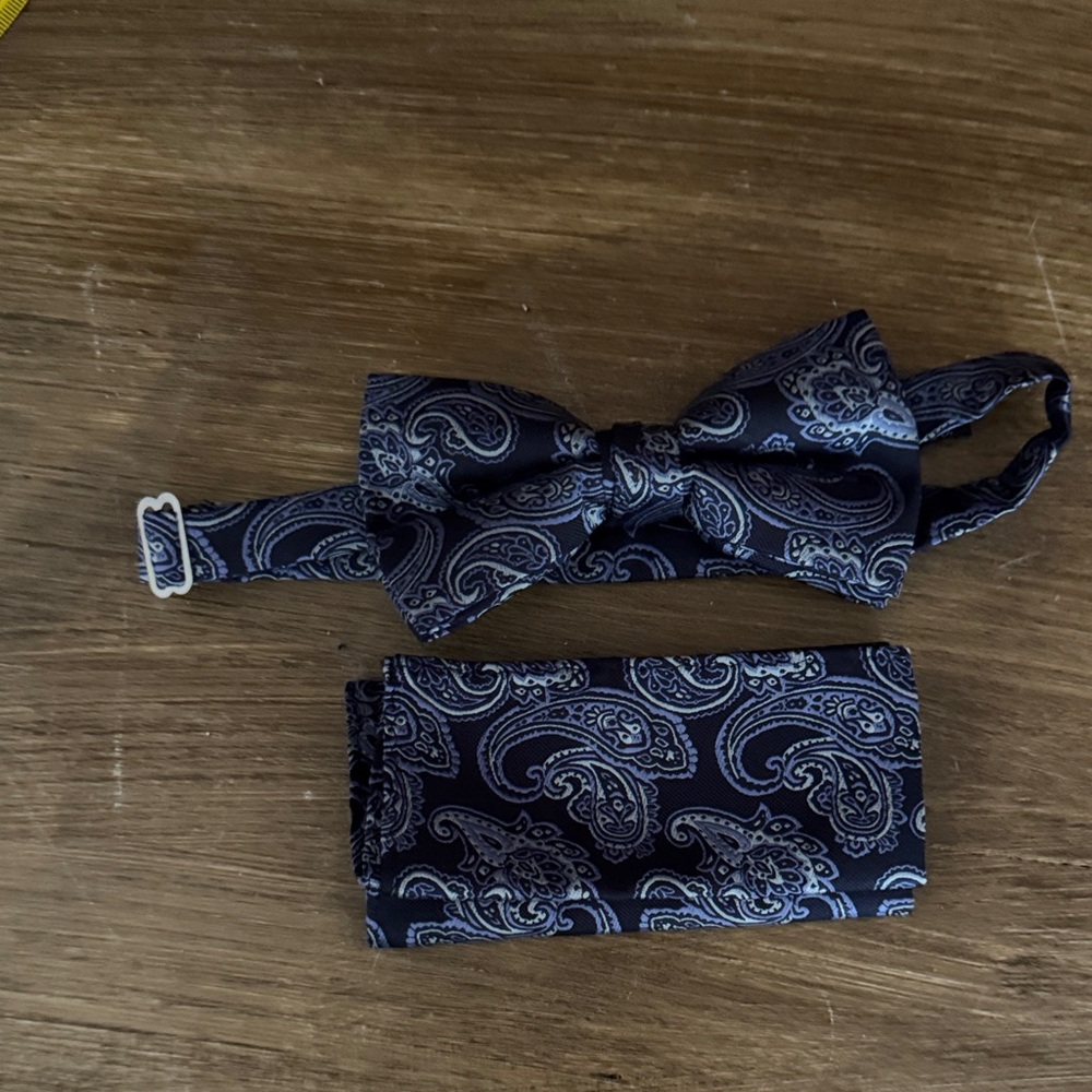 Steven by Steven Land 100% Silk Classic Paisley Bow Tie and Pocket Square Set